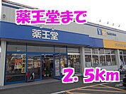 【ドラッグストア】薬王堂まで2500ｍ