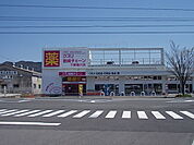 【ドラッグストア】クスリ岩崎チェーンまで700ｍ