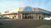 【スーパー】カスミ花崎店まで750ｍ