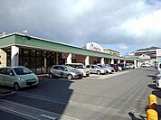 【スーパー】フレスタ西町店まで220ｍ