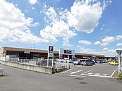 【ホームセンター】ホームセンター山新田彦店まで1300ｍ