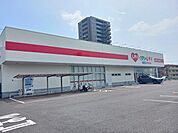 【ドラッグストア】くすりのレデイ桑原店様まで450ｍ