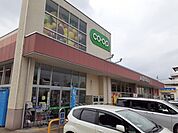 【スーパー】コープぐんまコープ昭和店まで300ｍ