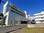 【総合病院】本島総合病院まで260ｍ