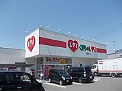 【ドラッグストア】くすりのレデイ潮見店様まで800ｍ