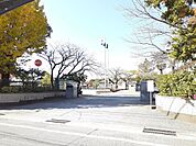【小学校】宮崎市立大淀小学校まで700ｍ