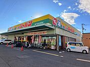 ジャパン　東大阪若江店まで1000ｍ