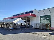 【スーパー】スーパーネゴロ岩出店様まで1000ｍ