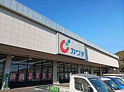 【ドラッグストア】カワチ薬品 銚子店まで900ｍ