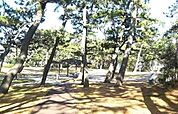 【公園】千本公園まで1200ｍ