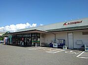 【スーパー】A・コープあんず店まで1000ｍ