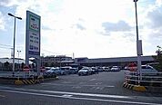 【スーパー】マルアイ白浜店まで1000ｍ
