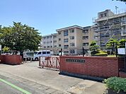【小学校】前橋市立新田小学校まで800ｍ
