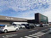 【ホームセンター】カインズ佐久平店まで1500ｍ