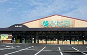 【スーパー】ラピタみなみ店まで1000ｍ