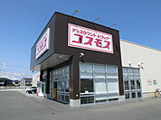 【ドラッグストア】コスモス旭町店まで500ｍ
