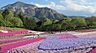 周辺：【公園】羊山公園まで1500ｍ