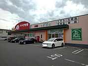 【ドラッグストア】クスリのアオキ大塚店まで1300ｍ