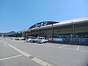 【ホームセンター】コーナン篠山店様まで1467ｍ