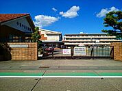 【小学校】一宮市立　小信中島小学校まで550ｍ
