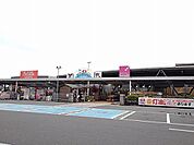 【ホームセンター】カンセキ大田原店まで600ｍ