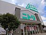 周辺：【ホームセンター】ニトリまで1400ｍ