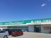 【スーパー】エバグリーン泉南店様まで1300ｍ