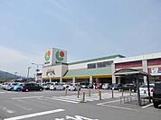 【スーパー】フリーモールわさだまで600ｍ