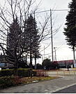 【公園】昭和公園まで550ｍ