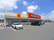 【スーパー】ベイシアマート太田富沢店まで1000ｍ