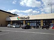 【スーパー】マルショク大学通り店まで800ｍ