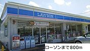 【コンビニエンスストア】ローソンまで800ｍ