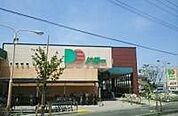 【スーパー】ドミーつつじが丘店まで1807ｍ