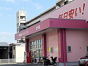 【ドラッグストア】コスモス近見店まで1000ｍ