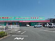 【ドラッグストア】コスモス菊南店まで1000ｍ