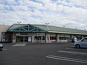 【スーパー】タイヨー都城郡元店まで1000ｍ