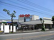 【スーパー】コープみやざき大塚店まで650ｍ