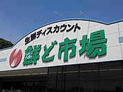 【スーパー】鮮ど市場国分店まで1100ｍ