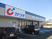 【ドラッグストア】カワチ薬品鹿沼北店まで350ｍ