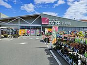 【ホームセンター】カンセキ若草店まで2000ｍ