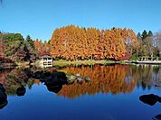 【公園】中央公園まで700ｍ