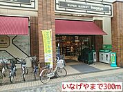 【スーパー】いなげやまで300ｍ