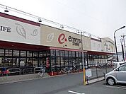 【スーパー】遠鉄ストア掛川中央店まで550ｍ