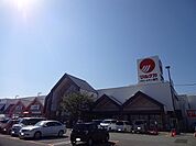 【スーパー】マルナカパワーシティ鳴門店様まで2900ｍ