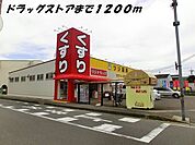 【ドラッグストア】ツジ薬局まで1200ｍ