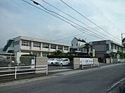 【小学校】吉井小学校様まで590ｍ