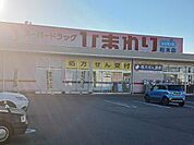 【ドラッグストア】スーパードラッグひまわり松木店まで1100ｍ