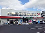 【ドラッグストア】くすりのレデイ土居田店様まで450ｍ