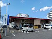 【スーパー】はなまる市場まで295ｍ