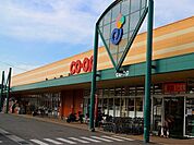 【スーパー】コープえひめ山根店様まで1100ｍ